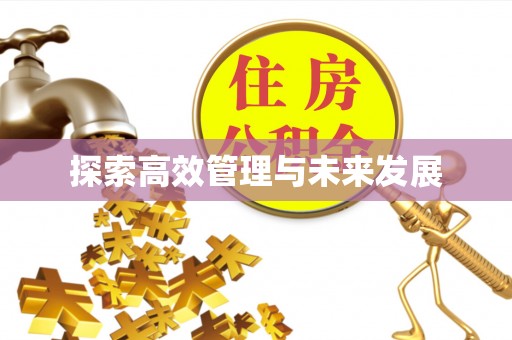 颍东探索高效管理与未来发展