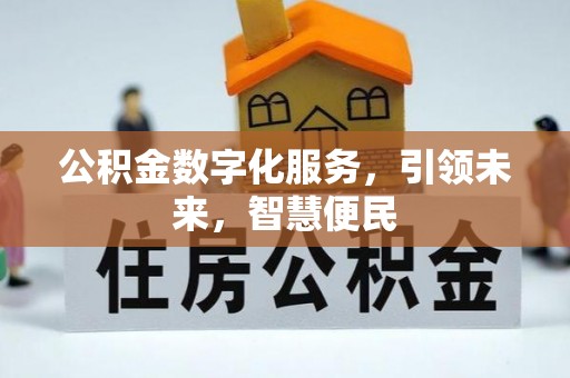 颍东公积金数字化服务，引领未来，智慧便民