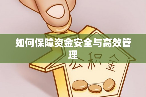 颍东如何保障资金安全与高效管理