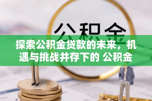 颍东探索公积金贷款的未来，机遇与挑战并存下的 公积金贷款风险防控
