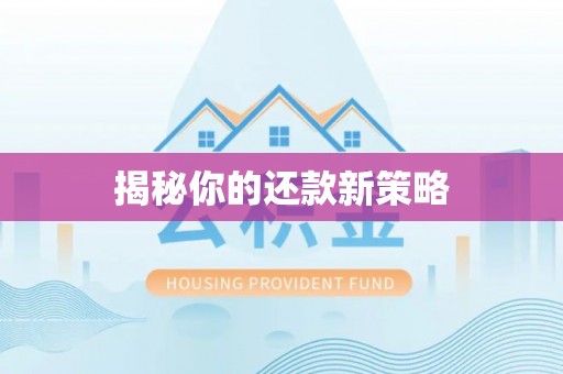 颍东揭秘你的还款新策略