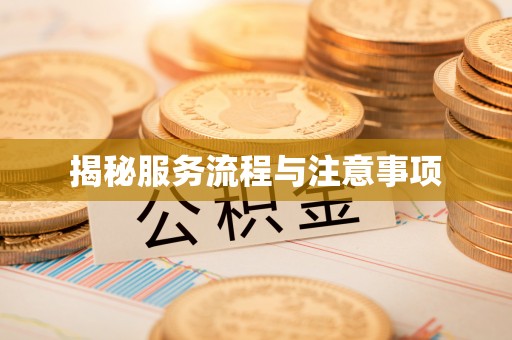 颍东揭秘服务流程与注意事项