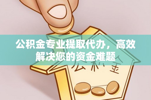 颍东公积金专业提取代办，高效解决您的资金难题