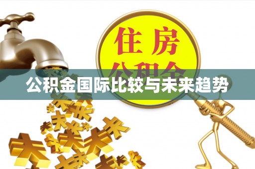 颍东公积金国际比较与未来趋势