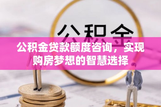 颍东公积金贷款额度咨询，实现购房梦想的智慧选择