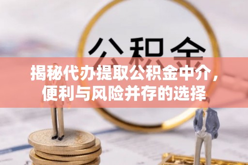 颍东揭秘代办提取公积金中介，便利与风险并存的选择