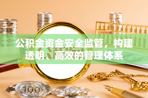 颍东公积金资金安全监管，构建透明、高效的管理体系