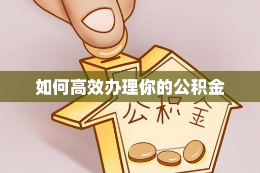 颍东如何高效办理你的公积金