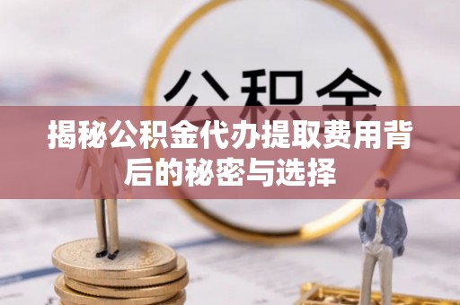 颍东揭秘公积金代办提取费用背后的秘密与选择