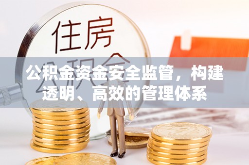 颍东公积金资金安全监管，构建透明、高效的管理体系