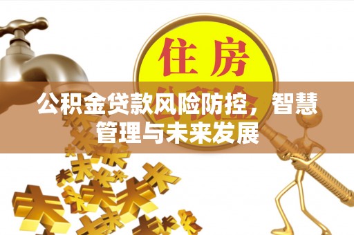 颍东公积金贷款风险防控，智慧管理与未来发展