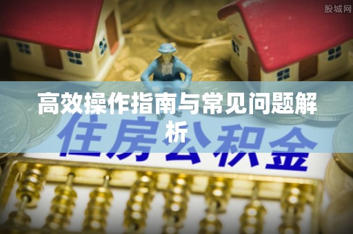 颍东高效操作指南与常见问题解析