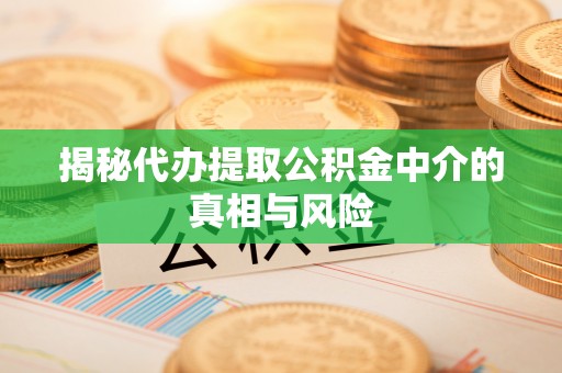 颍东揭秘代办提取公积金中介的真相与风险