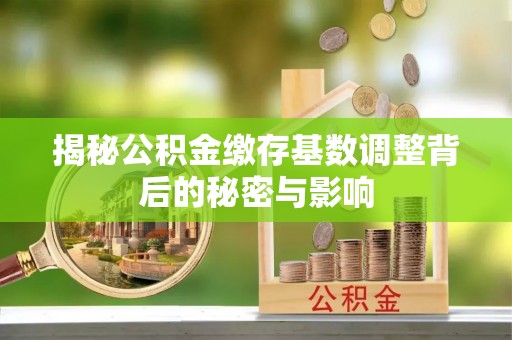 颍东揭秘公积金缴存基数调整背后的秘密与影响
