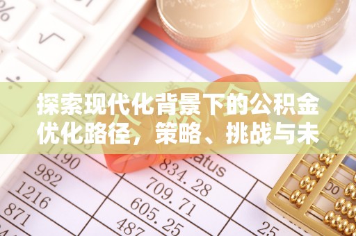 颍东探索现代化背景下的公积金优化路径，策略、挑战与未来展望