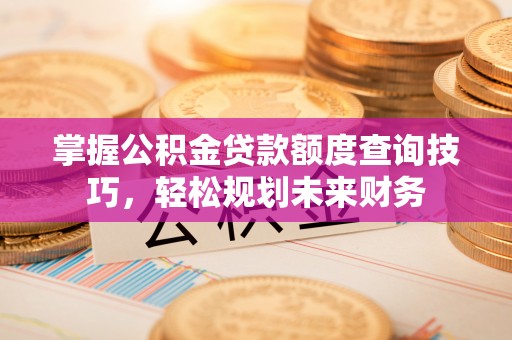 颍东掌握公积金贷款额度查询技巧，轻松规划未来财务