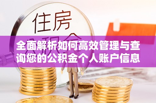 颍东全面解析如何高效管理与查询您的公积金个人账户信息