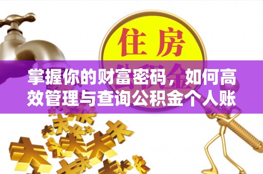颍东掌握你的财富密码，如何高效管理与查询公积金个人账户信息