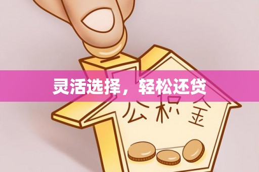 颍东灵活选择，轻松还贷