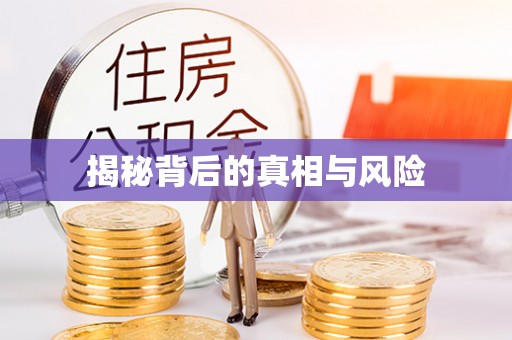 颍东揭秘背后的真相与风险