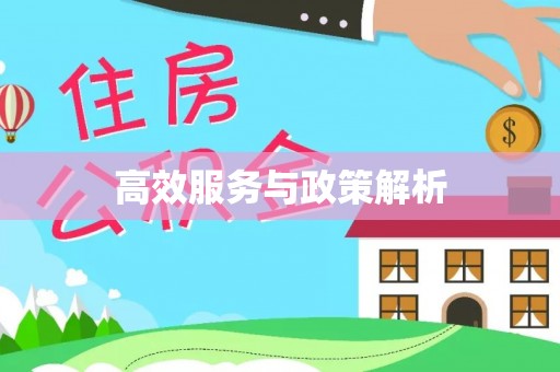颍东高效服务与政策解析