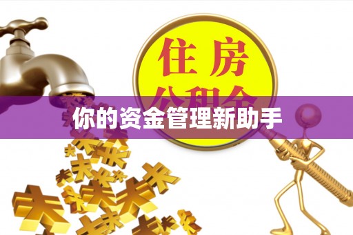 颍东你的资金管理新助手