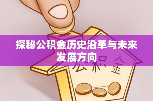 颍东探秘公积金历史沿革与未来发展方向