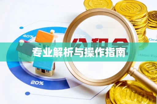 颍东专业解析与操作指南