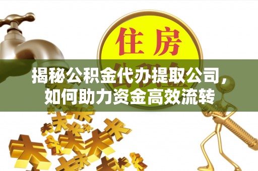 颍东揭秘公积金代办提取公司，如何助力资金高效流转