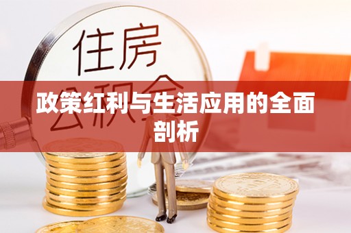 颍东政策红利与生活应用的全面剖析