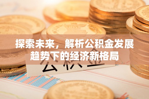 颍东探索未来，解析公积金发展趋势下的经济新格局