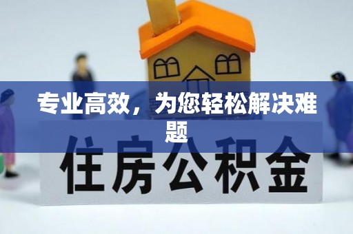 颍东专业高效，为您轻松解决难题