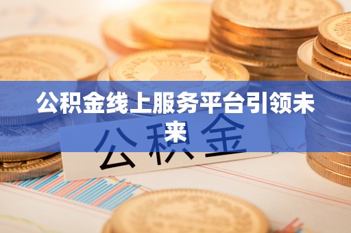 颍东公积金线上服务平台引领未来