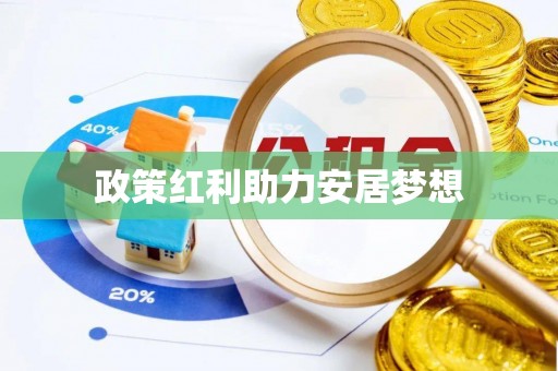 颍东政策红利助力安居梦想