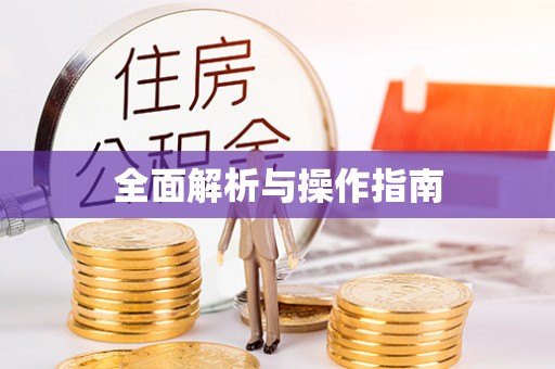 颍东全面解析与操作指南