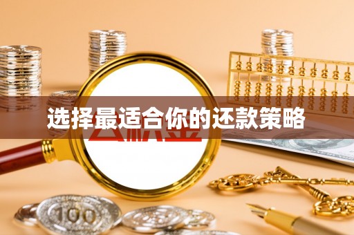 颍东选择最适合你的还款策略