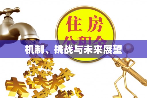 颍东机制、挑战与未来展望