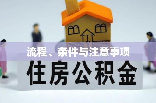 颍东流程、条件与注意事项