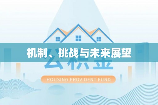 颍东机制、挑战与未来展望